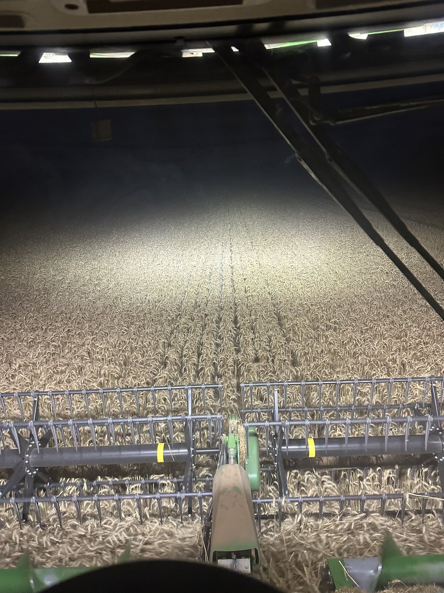 gimmeahandle's tweet image. Hello Twitter. Nearly forgot this place existed. The view has been fairly repetitive lately.