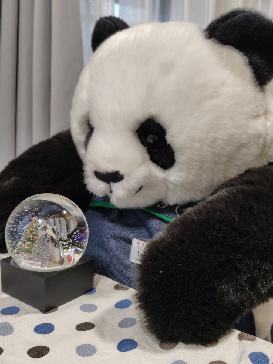 kuma.xiang (@kumaxiang) / Posts / X