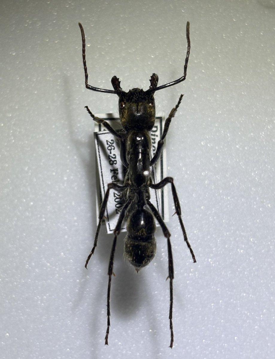 しんえん (@kcdcf453145) / Posts / X