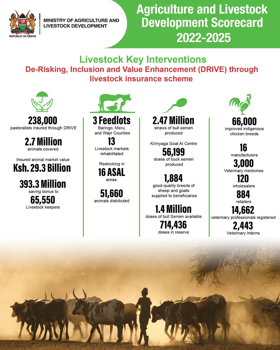 yh9meLInus's tweet image. The most powerful change in agriculture is alignment—government, counties, partners, and private sector all working together. When everyone pulls in one direction, farmers feel it. #MoALD #AgriNext Agri Tech Revolution Enashipai Summit