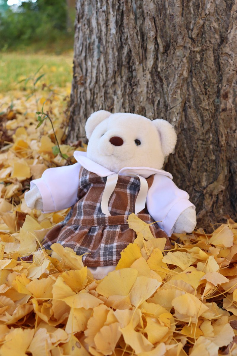 ふわふわの絨毯なの🐻‍❄️
#くまのぽー  #ぬいぐるみ #ぬい撮り