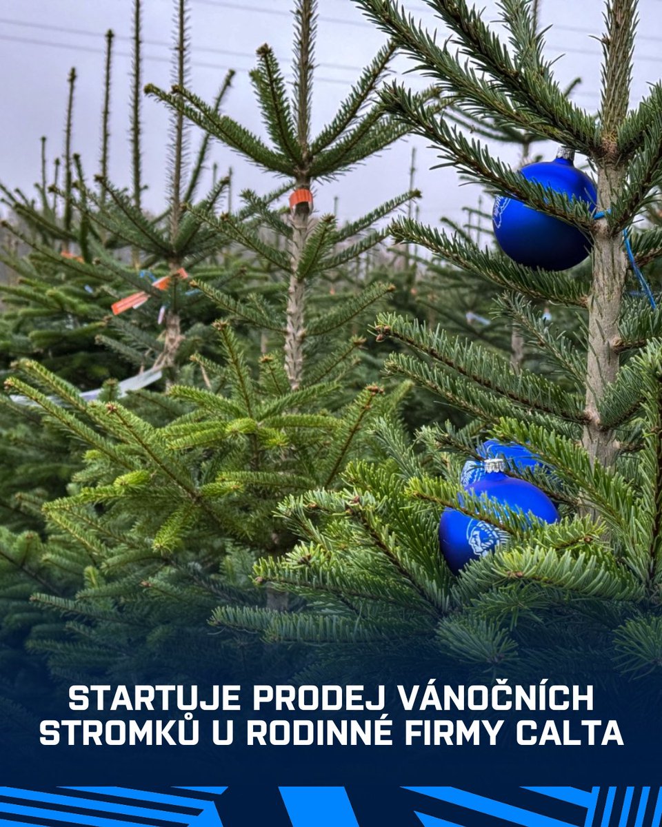 Permanentkáři, jak jsme avizovali, i letos pro vás rodinná firma Calta chystá zvýhodněné ceny na vánoční stromky. Neváhejte a zastavte se v Příšově! Prodej začíná právě dnes!🎄

Více informací 👉🏻 hcplzen.cz/article/18589