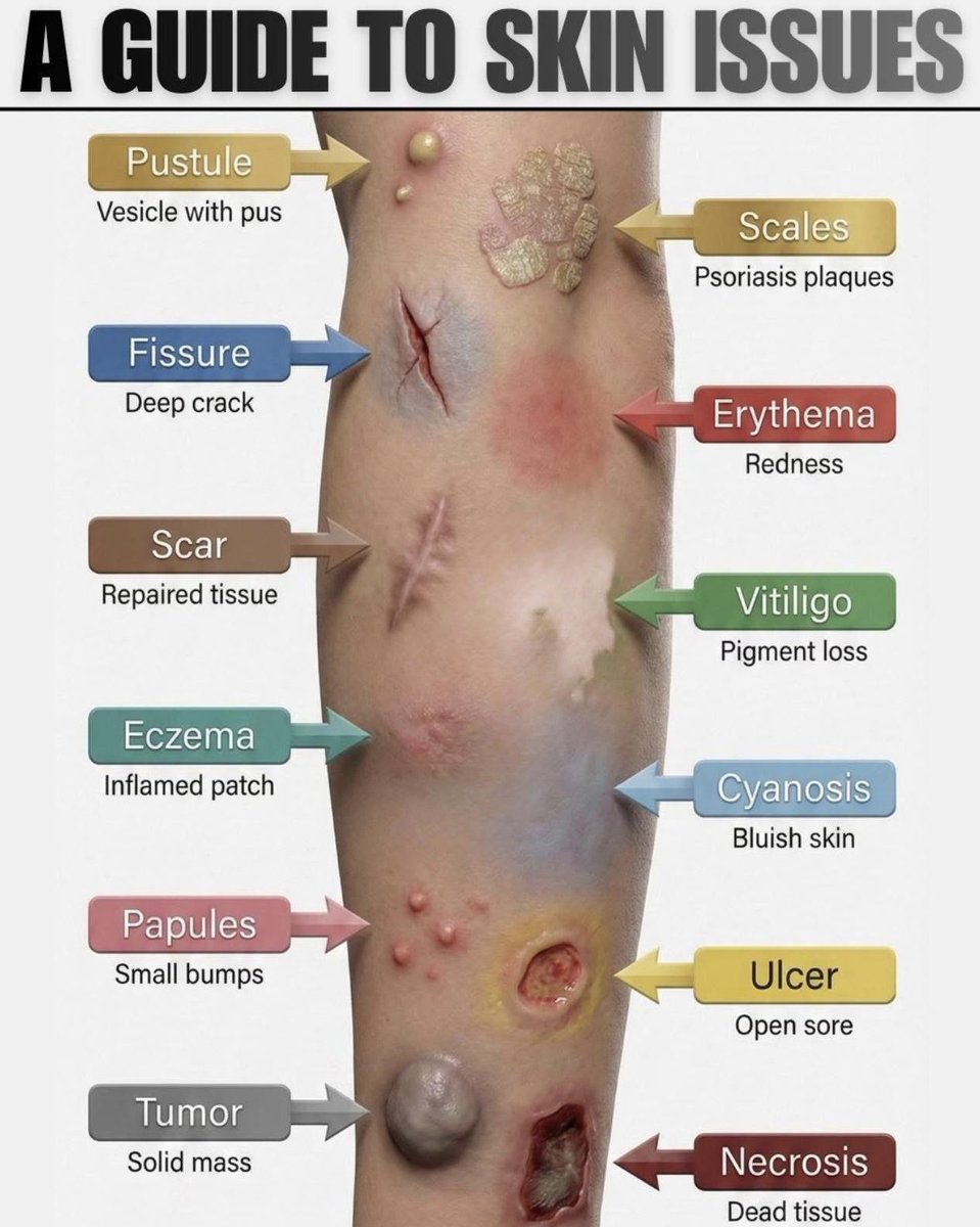 🚑 Mr Medic 🚑 tweet media