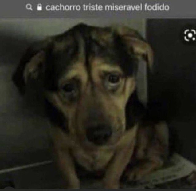 InterTimeLine's tweet image. 