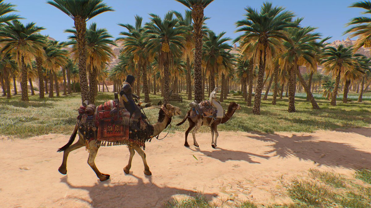 MANONavy's tweet image. #ValleyofMemory #AssassinsCreedMirage