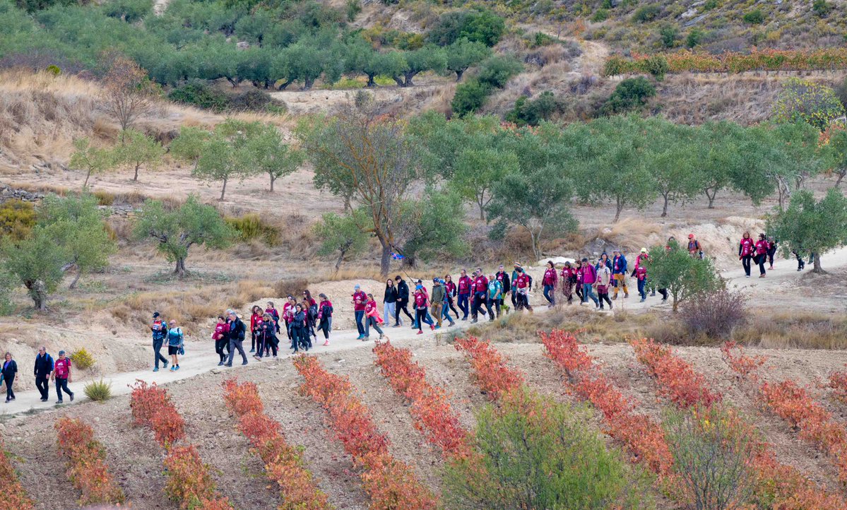 Wine Run Rioja Alavesa tweet media