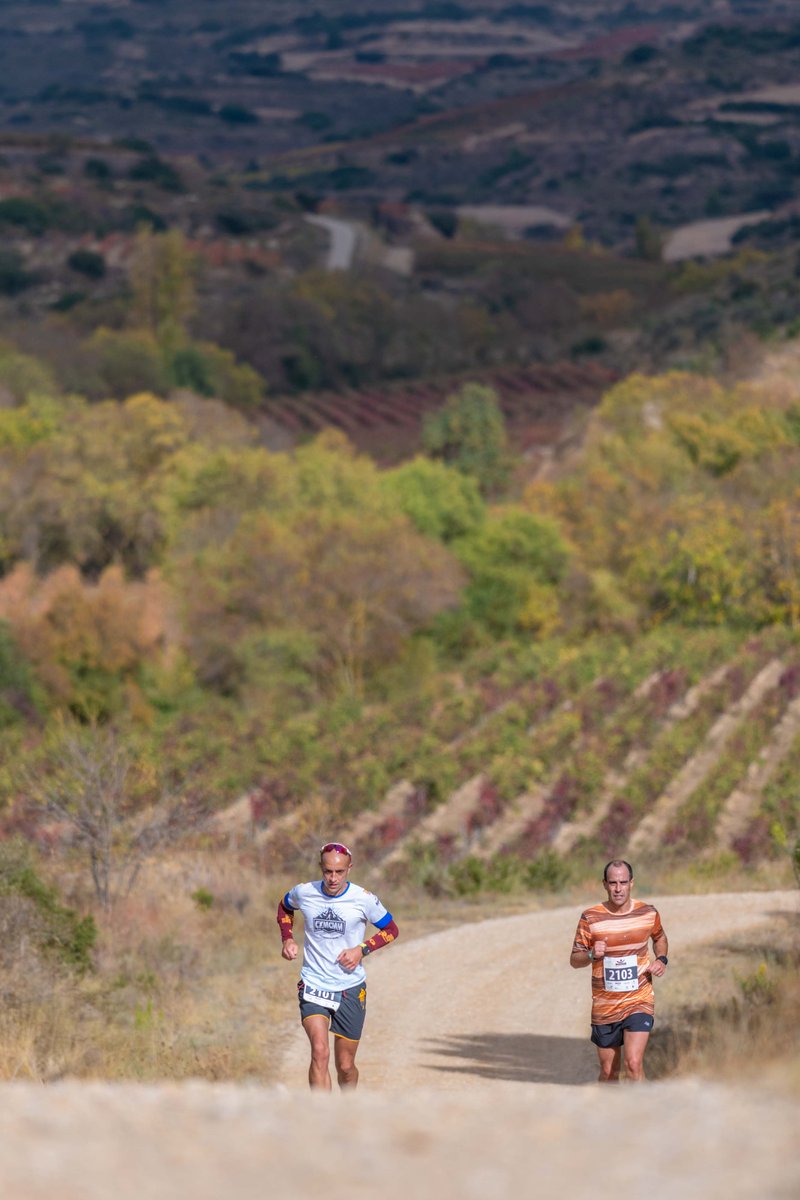 Wine Run Rioja Alavesa tweet media
