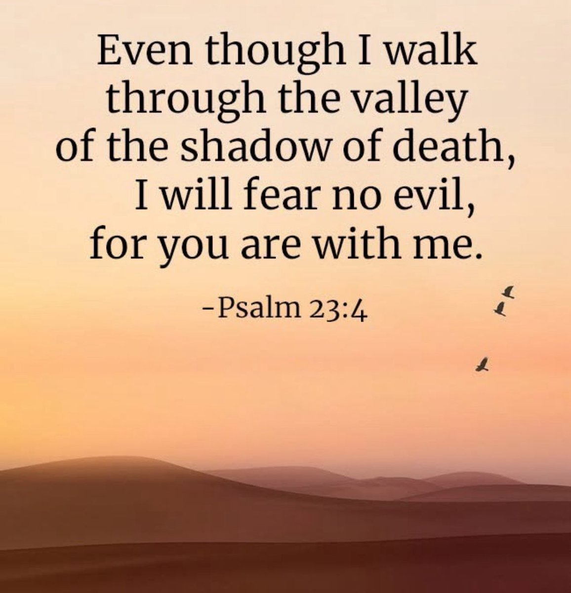 market_sleuth's tweet image. Good morning. No trading for me today. It’s the last thing on my mind. In about an hour I’ll depart for the hospice facility to see my dear friend Dawn for the last time (in this life). Her three children will be there as well. 

I want to thank each &amp;amp; every one of you who have…