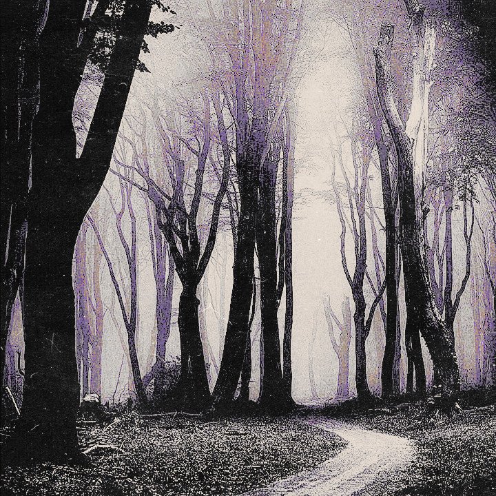 ᅠ ﹐𖤐 . ݁ᅠ 𝒞𝒍𝒆𝒂 ꠹𝒕𝒓𝒂𝒏𝒈𝒆.𖥔 ݁ ˖ tweet media