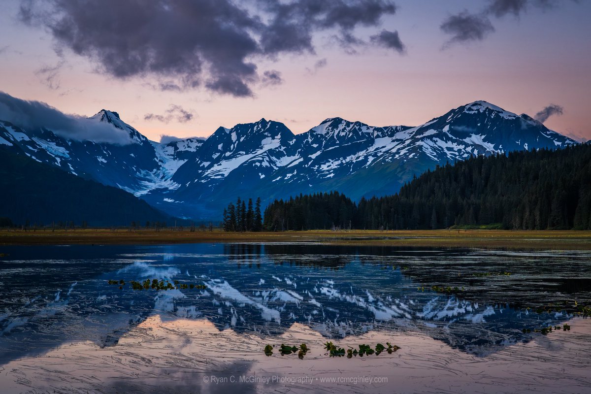 Ryan C. McGinley tweet media