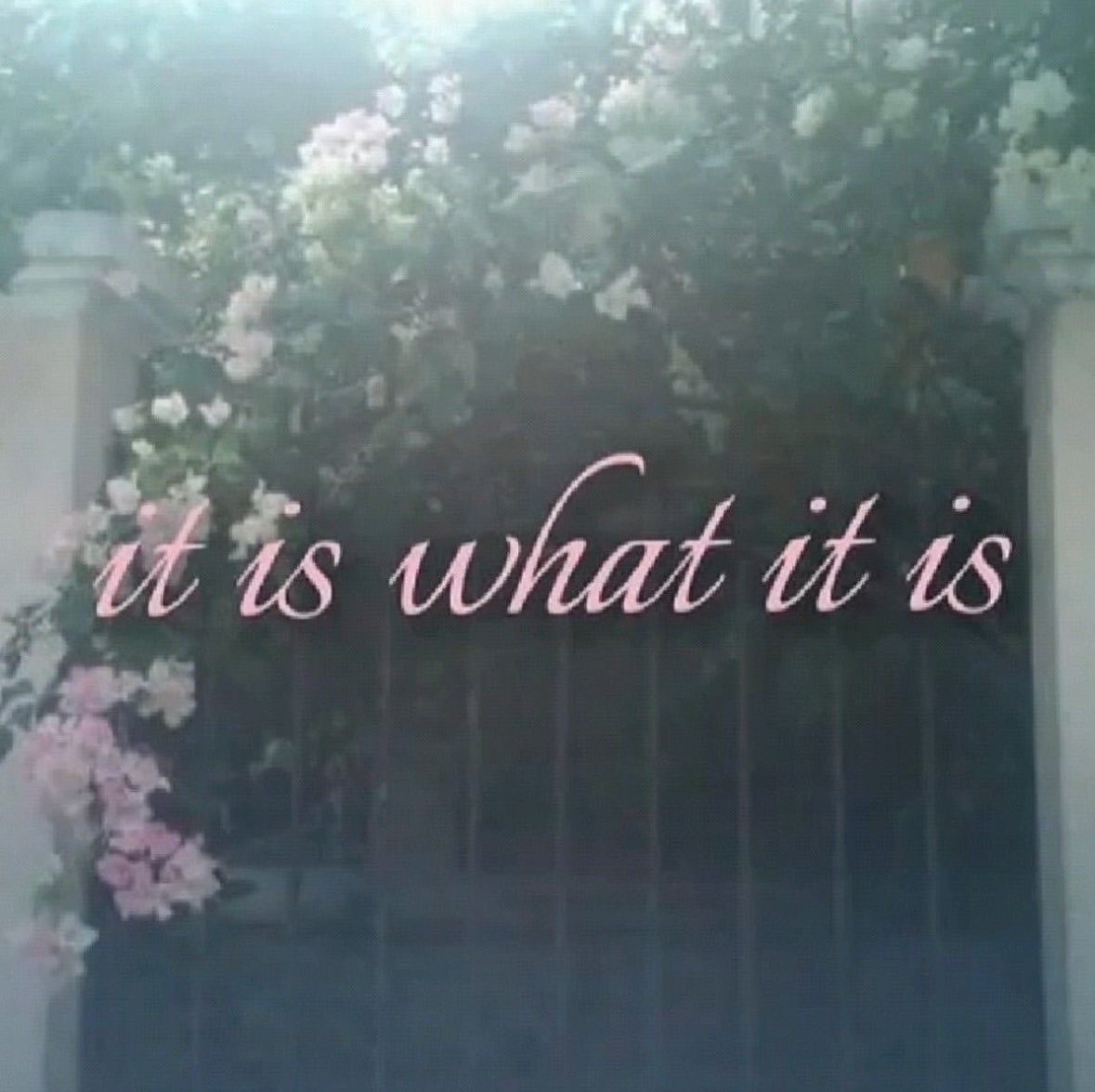 ✧ (@northstardoll) on Twitter photo 