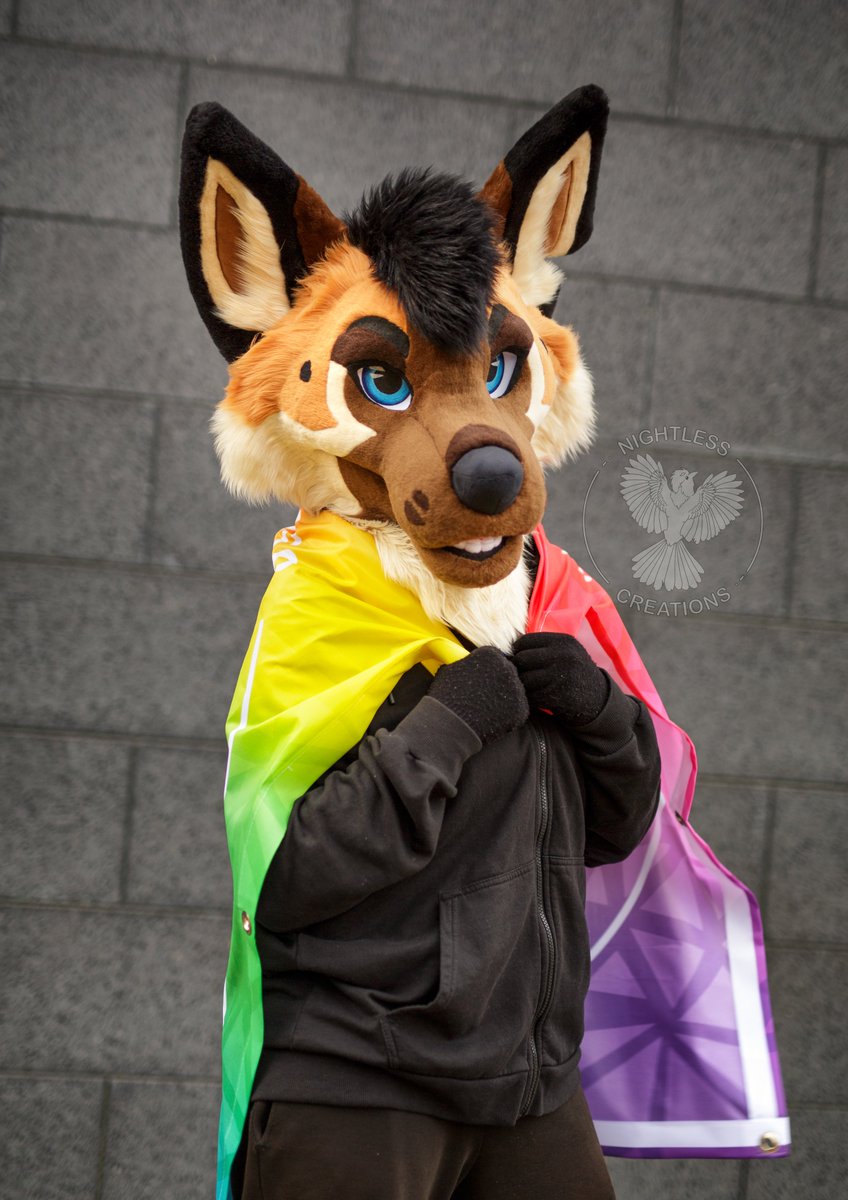 🧵1/2 More pics of Koah who is already on its way to the US! 

📸: <a href="/KayJayFIN/">KayJay</a> 

#furry #fursuit