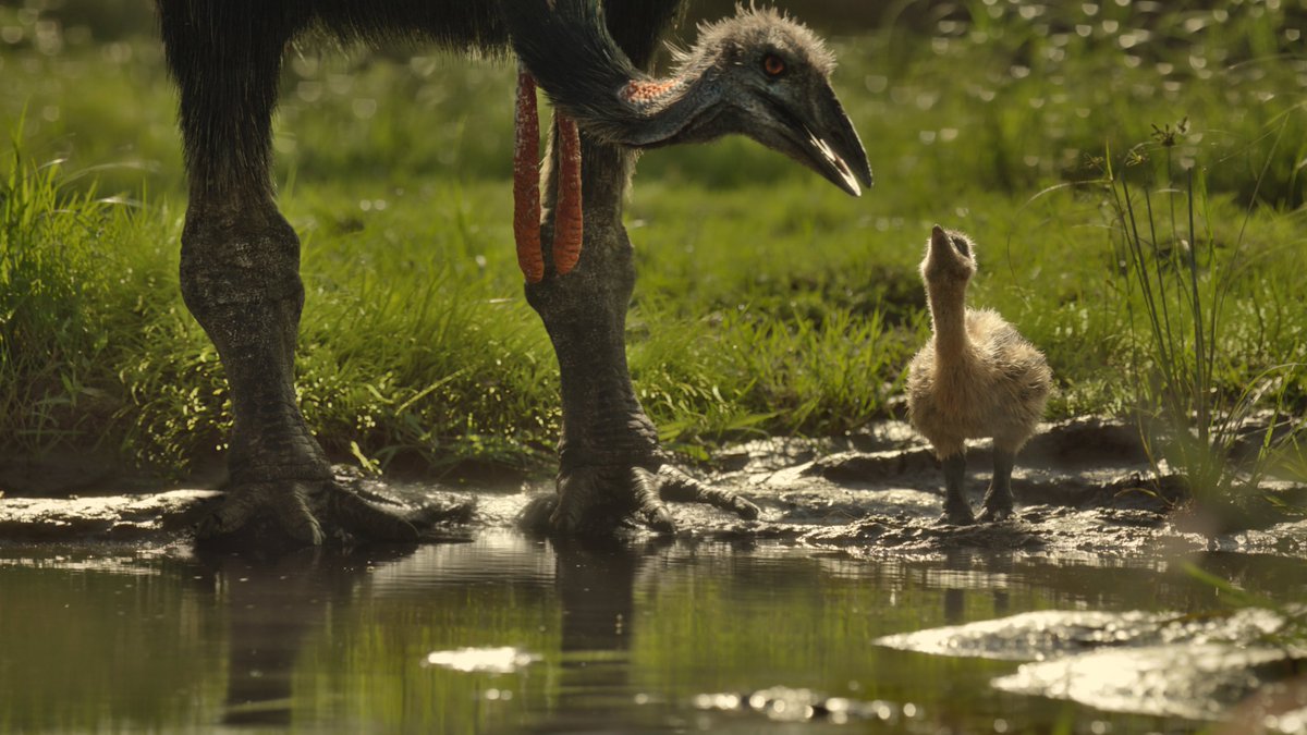 raftingzalmoxes's tweet image. #PrehistoricPlanet
MORE INCREDIBLE COMPOSITIONS FROM #PrehistoricPlanetIceAge !