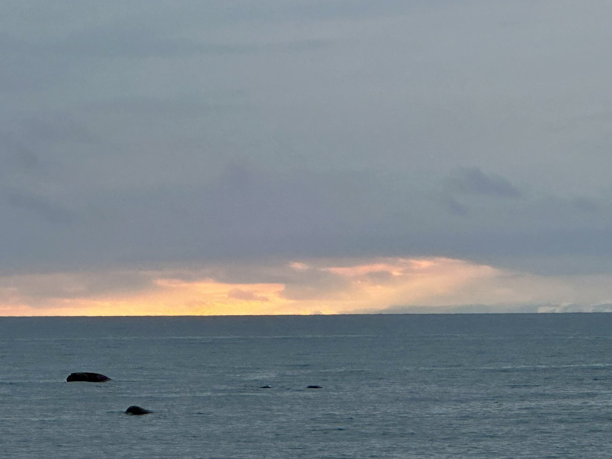 btleparadis's tweet image. Un peu de couleur 🧡🧡🧡 Bonne journée ☀️