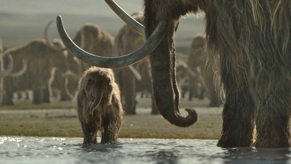 raftingzalmoxes's tweet image. #PrehistoricPlanet
MORE INCREDIBLE COMPOSITIONS FROM #PrehistoricPlanetIceAge !