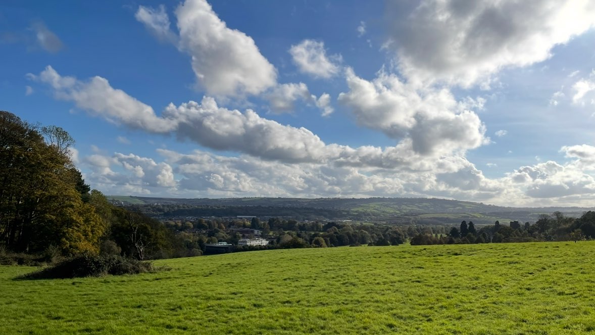 notesofsage's tweet image. walked 9km and this has been one of my favourite walks 🦌