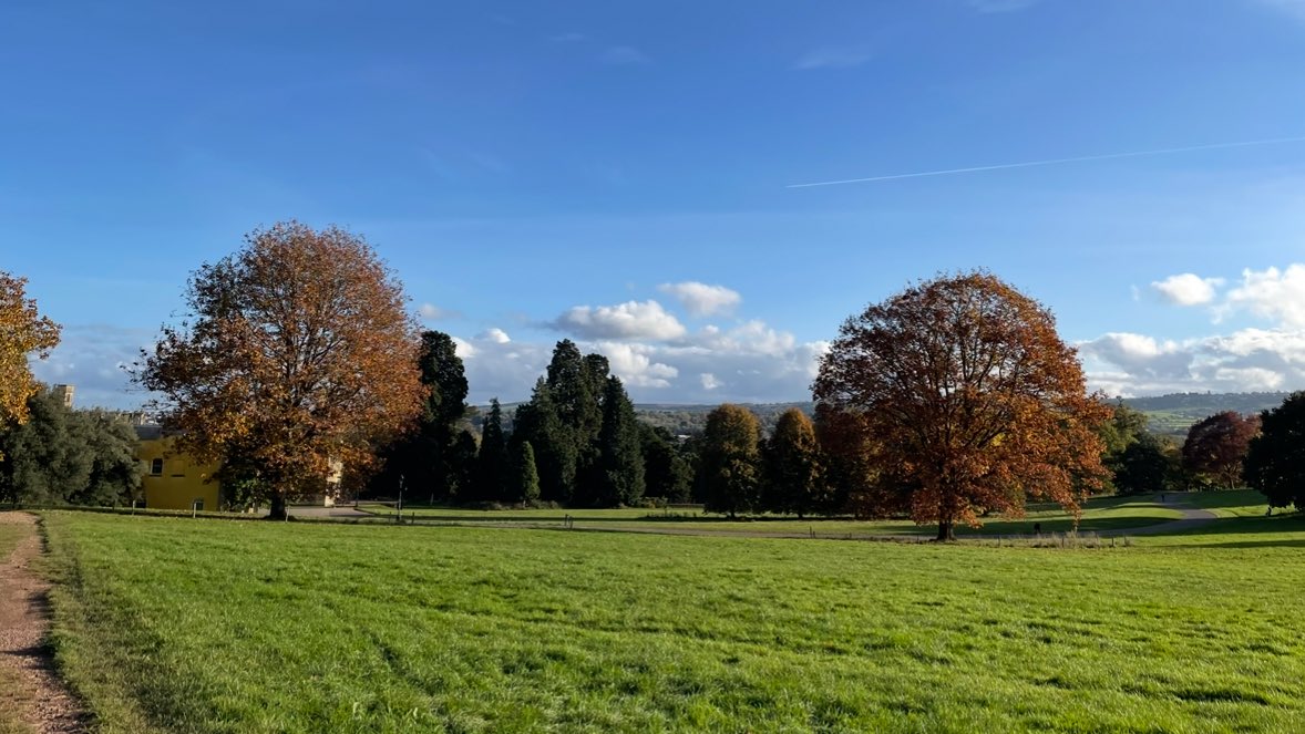 notesofsage's tweet image. walked 9km and this has been one of my favourite walks 🦌