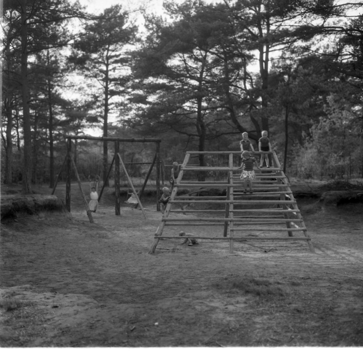 Gemeentearchief Steenwijkerland tweet media