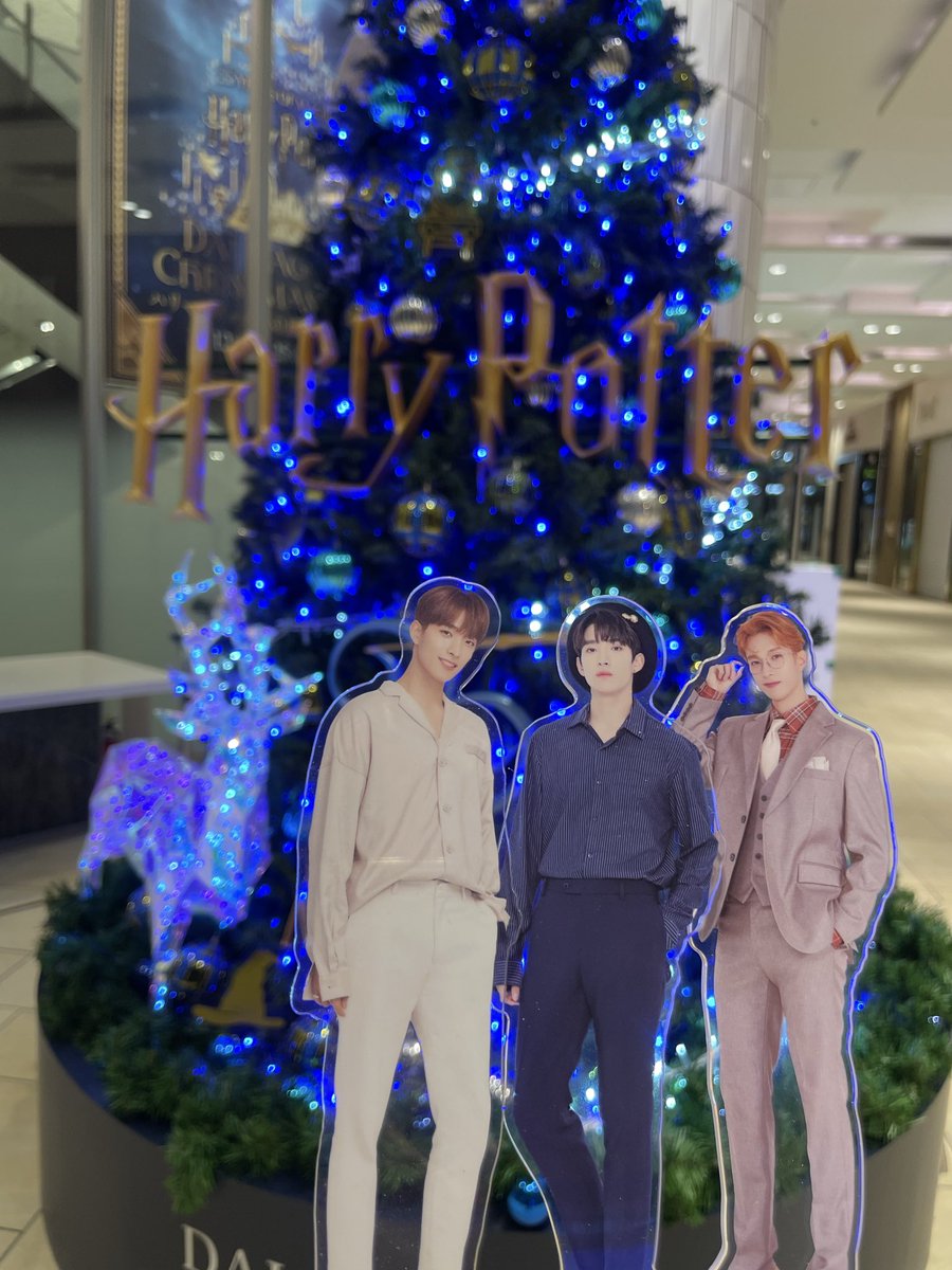 Ｋ☆Ｋ tweet media