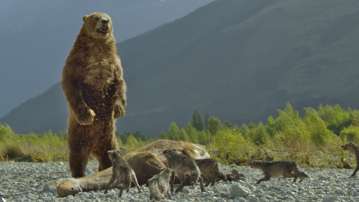 raftingzalmoxes's tweet image. #PrehistoricPlanet
MORE INCREDIBLE COMPOSITIONS FROM #PrehistoricPlanetIceAge !