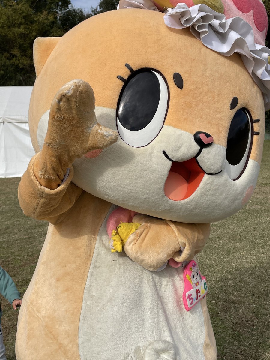 ちぃたん☆／Chiitan (@chiitan7407) / Posts and Replies / X