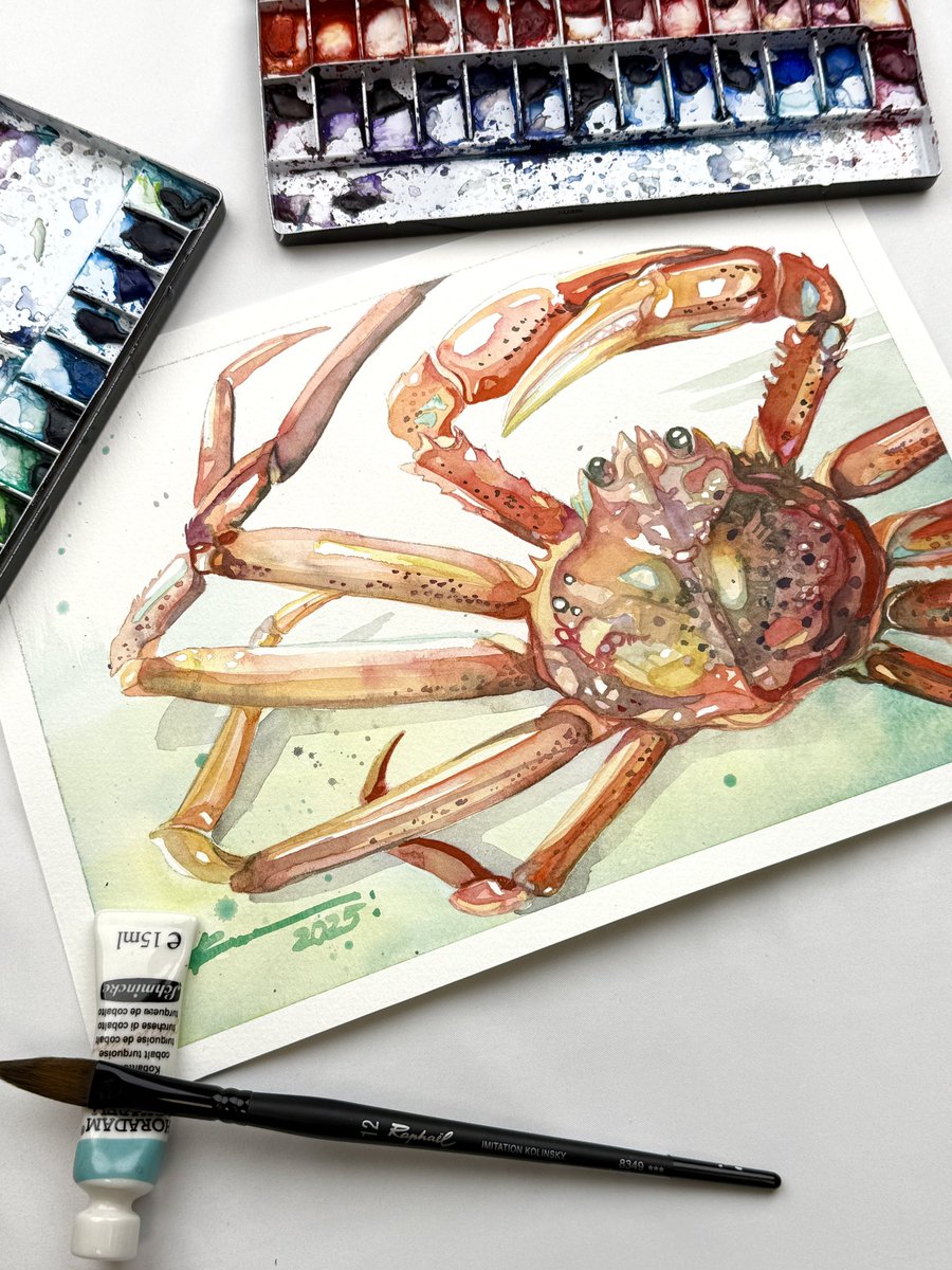 マツダケン@12/4〜16銀座個展 (@keso901005) / Posts / X