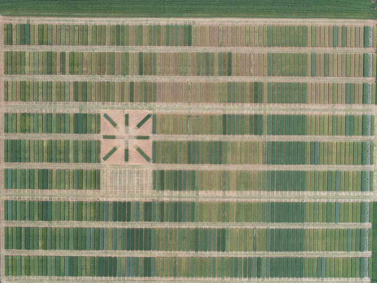 Brendan Torpy tweet media