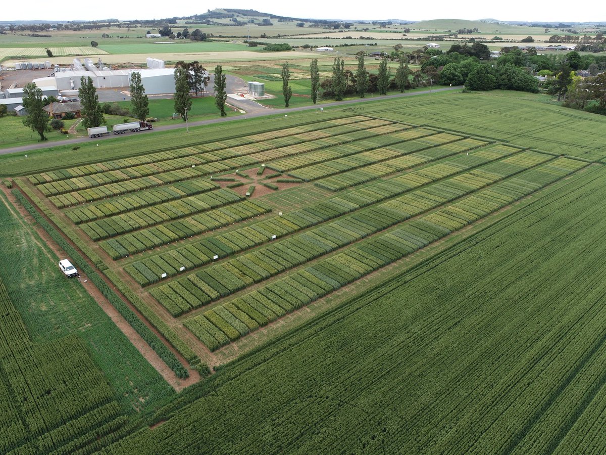 Brendan Torpy tweet media