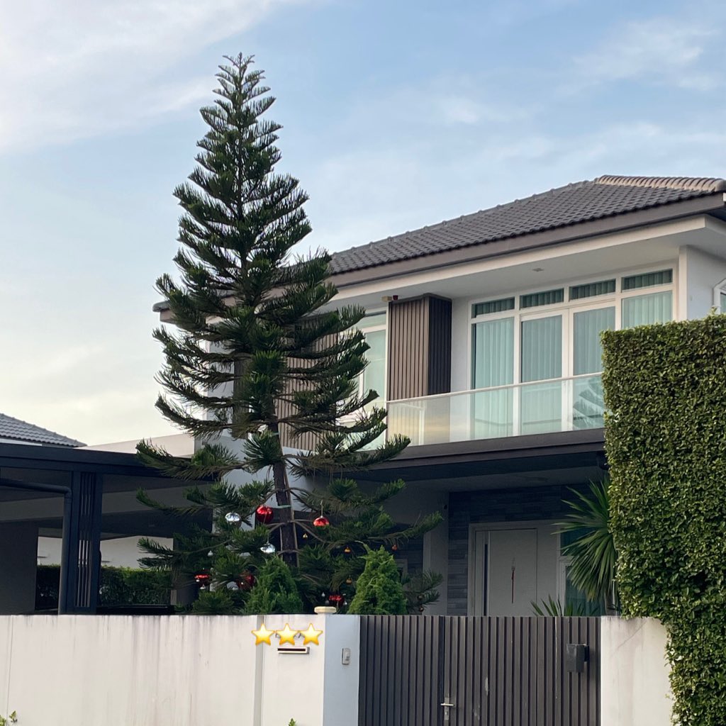 iamkappucino's tweet image. เจอบ้านซานต้าเป่าลมยังพอทน เจอบ้านต้นสนสดกุพอเลย ยอมแล้วค้าบพี่ๆ 🥹🙏🏻