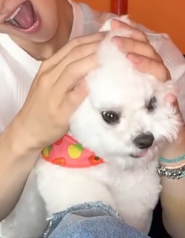 heaveunwoo's tweet photo. girl are u ok 😭 https://t.co/Pqc0r5g9Wy