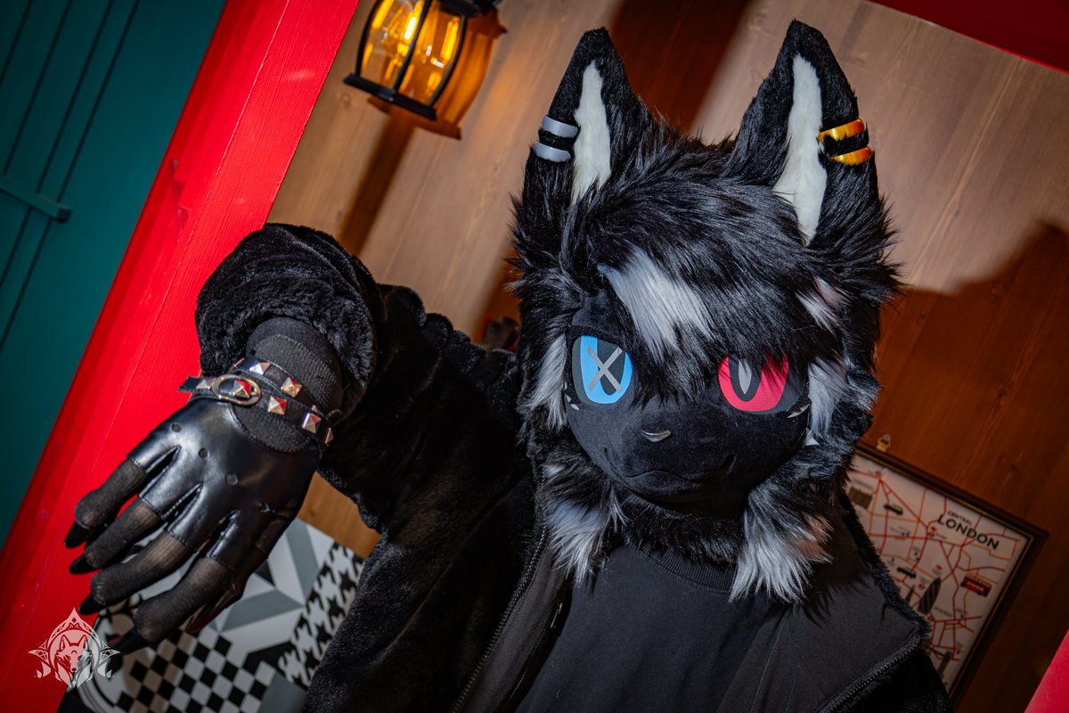 Watcha doin? 😎
📷 : <a href="/rowlwolf/">하울프(Howolf)🔜FHC3</a>