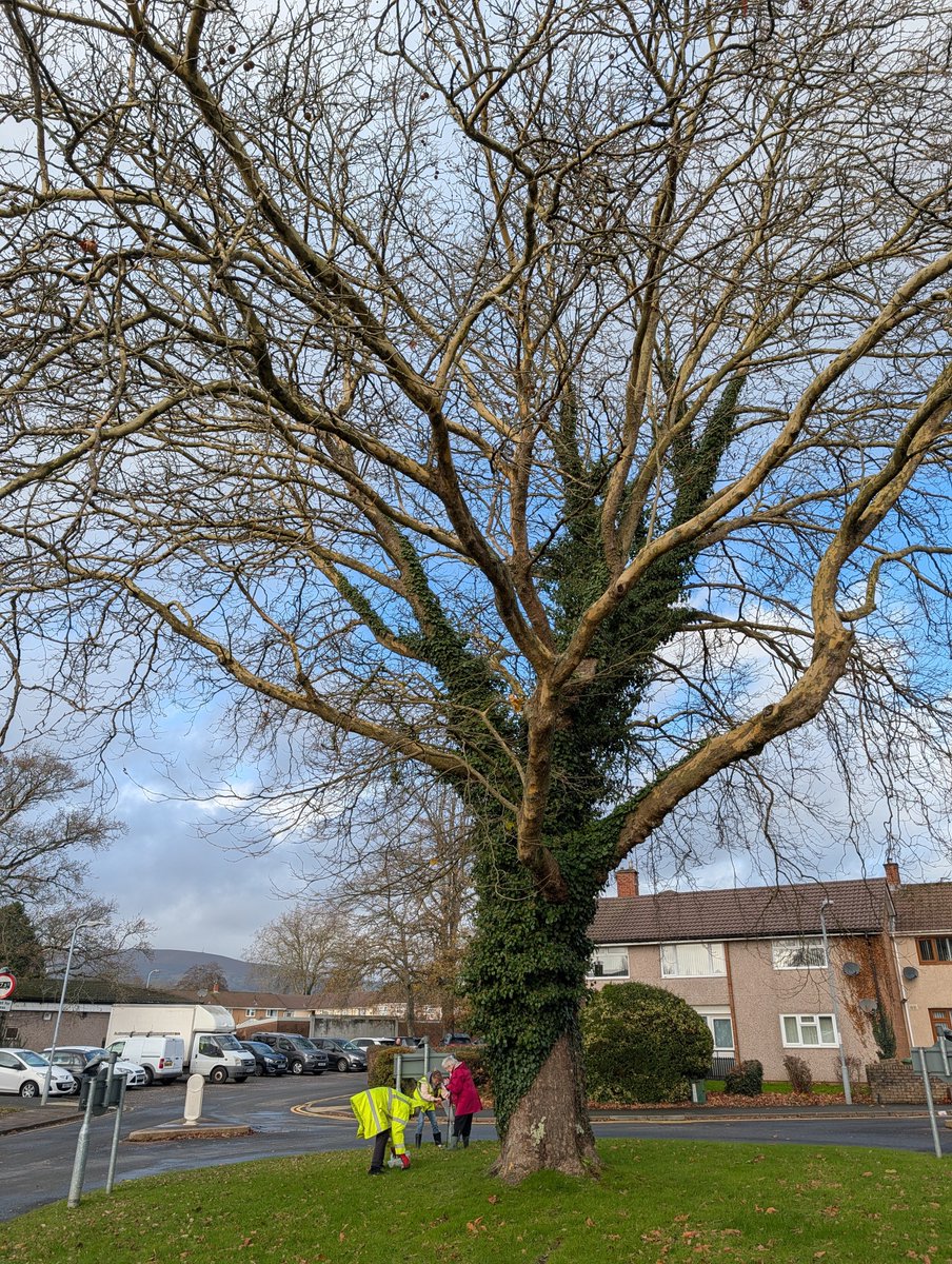 BGandTorfaenLNP tweet media