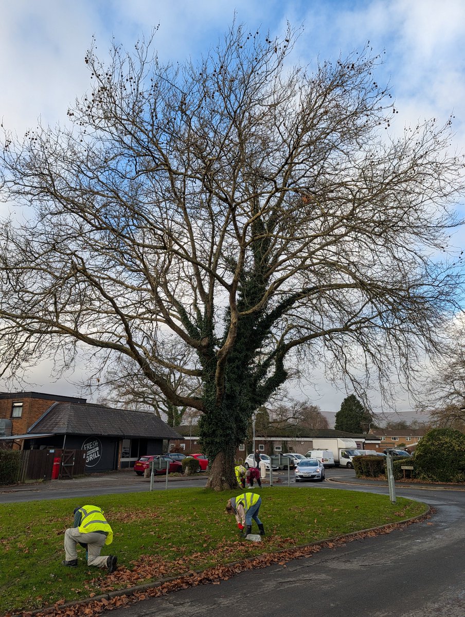 BGandTorfaenLNP tweet media