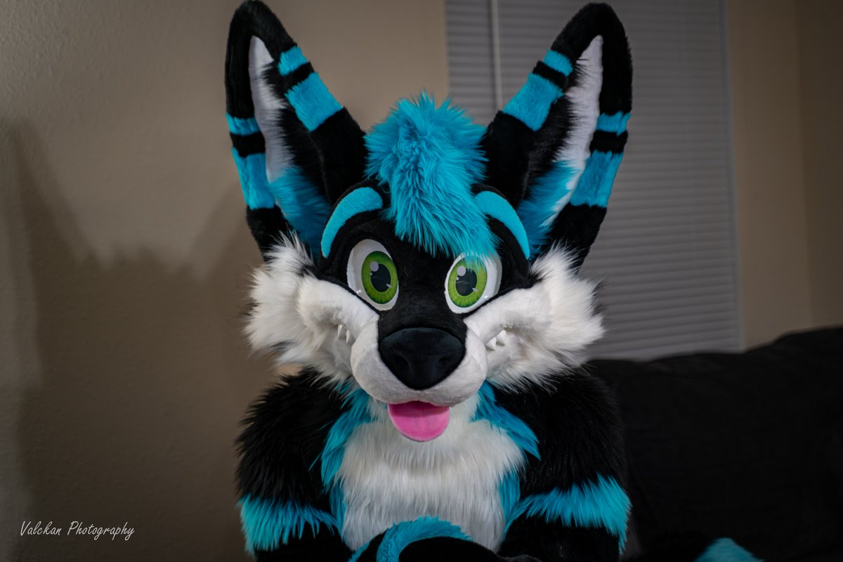 Happy #FursuitFriday everyone, I am excited for MFF next week!
📸: <a href="/Valckan/">Valckan</a> 
🪡: <a href="/MoreFurLess/">More Fur Less</a>