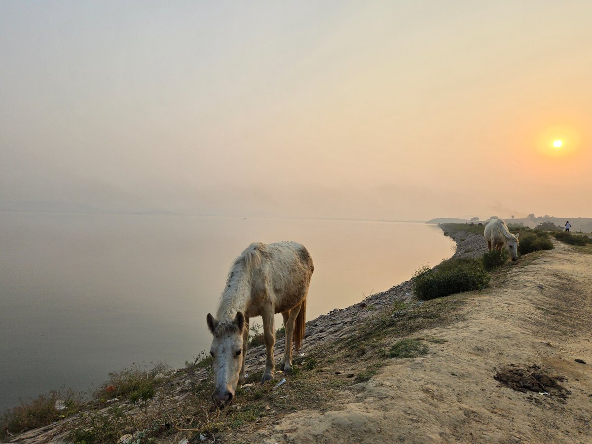 MehtabAnsari_'s tweet image. GM 🏞