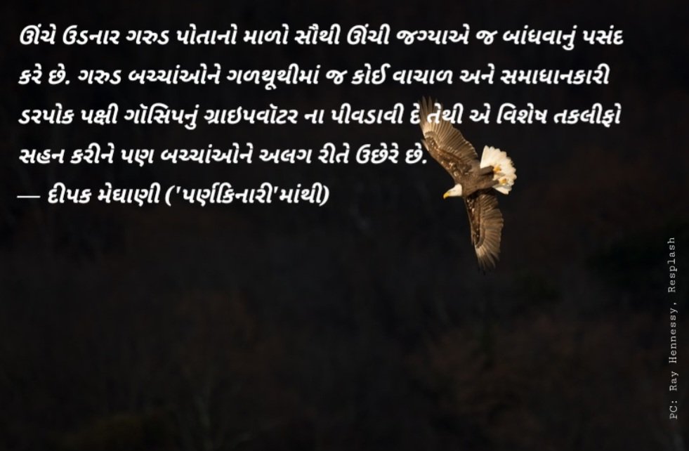 DeepakMeghani's tweet photo. ઊંચે ઉડનાર ગરુડ પોતાનો માળો સૌથી ઊંચી જગ્યાએ જ બાંધવાનું પસંદ કરે છે. ગરુડ બચ્ચાંઓને ગળથૂથીમાં જ કોઈ વાચાળ અને સમાધાનકારી ડરપોક પક્ષી ગૉસિપનું ગ્રાઇપવૉટર ના પીવડાવી દે તેથી એ વિશેષ તકલીફો સહન કરીને પણ બચ્ચાંઓને અલગ રીતે ઉછેરે છે.
— દીપક મેઘાણી ('પર્ણકિનારી'માંથી) https://t.co/LOzoNQL0pS