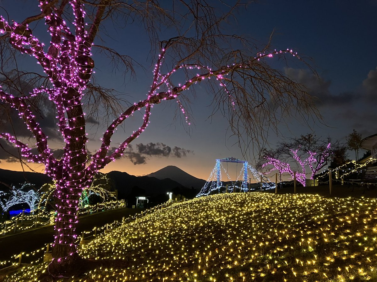 テルミー 線 約530本平成20年8月分270+α 平成10年7月分260+α テルミー 線 約530本平成20年8月分270+α 平成10