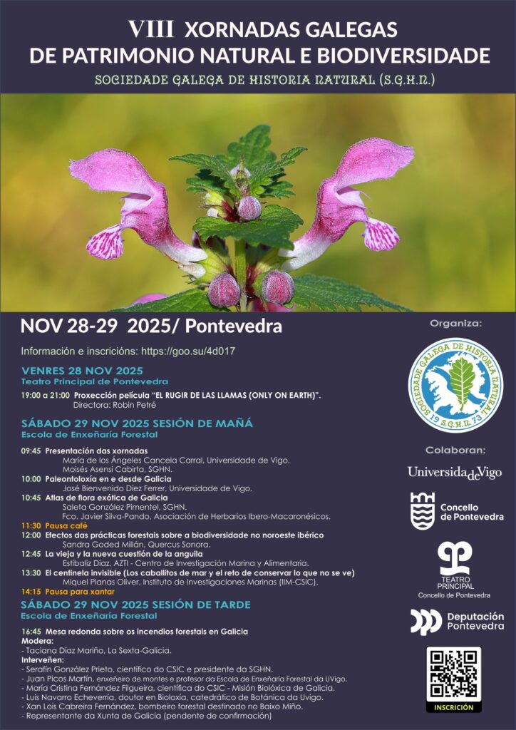 Proyecto Hippo-DEC tweet media