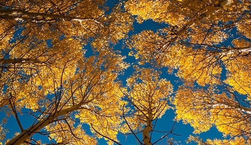 socialistendev2's tweet photo. test https://t.co/m8MwbfgHy1