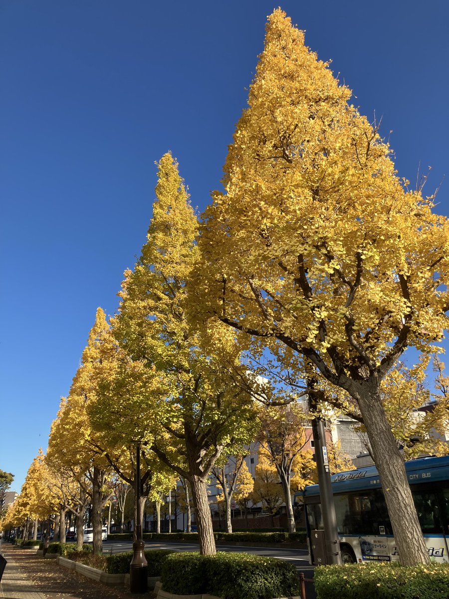 hi_bt_84837480's tweet image. やはり、ツアトラさんのとこにはまず行かないとね😁
#カルッツかわさき
#BUCK♾️TICK