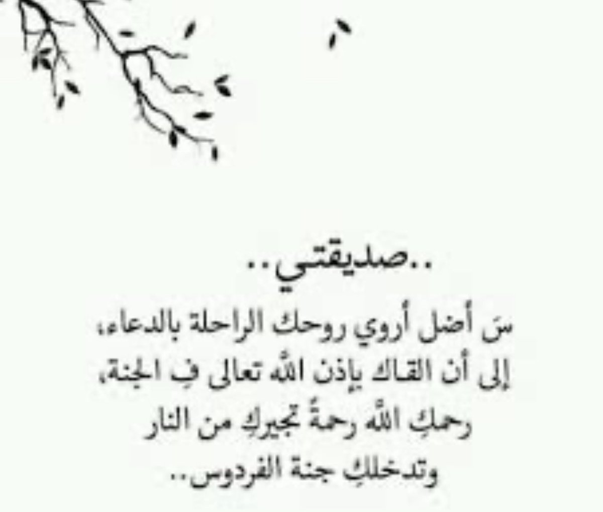 بوح (أم الما وأمير) tweet media