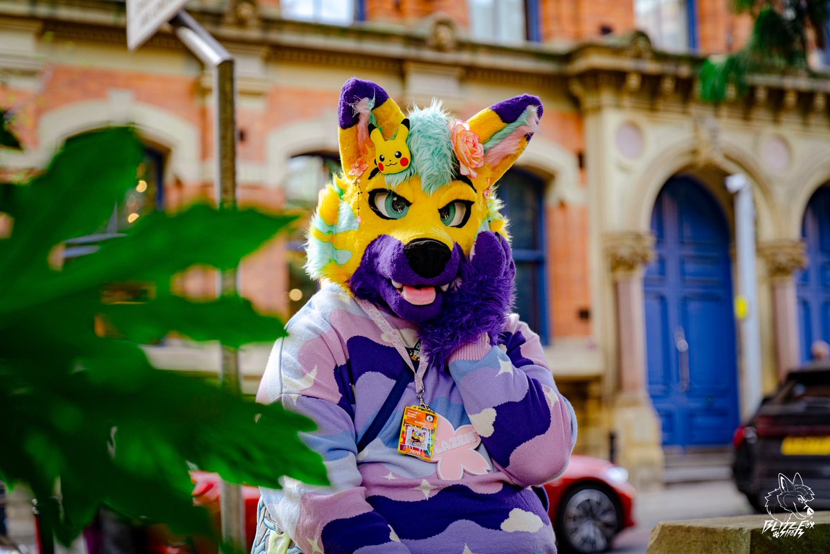 BlazenTigerFolf's tweet image. The TigerFolf may be all blushy and flustered but that won’t stop him from admiring your beauty 😍🥰
Happy #FursuitFriday everyone! 💜💛🫶

📸: @Blitz__Fox 
🪡: HouseOfCardsFur