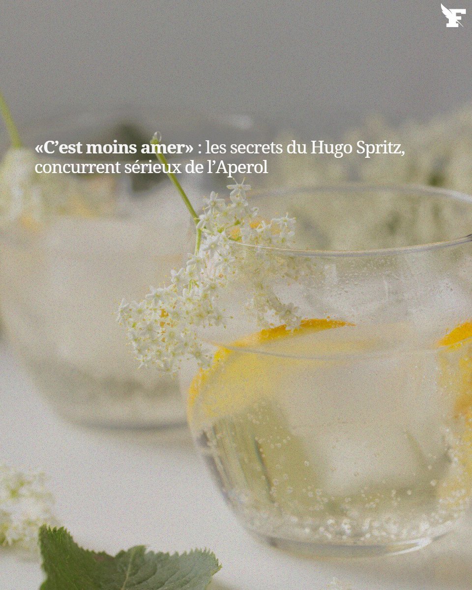 Depuis plusieurs années, le Hugo Spritz fleurit sur les terrasses françaises, une tendance qui le place comme un concurrent sérieux face à l’iconique Aperol Spritz.

Par Apolline d'Hoop

👉 l.lefigaro.fr/BswK