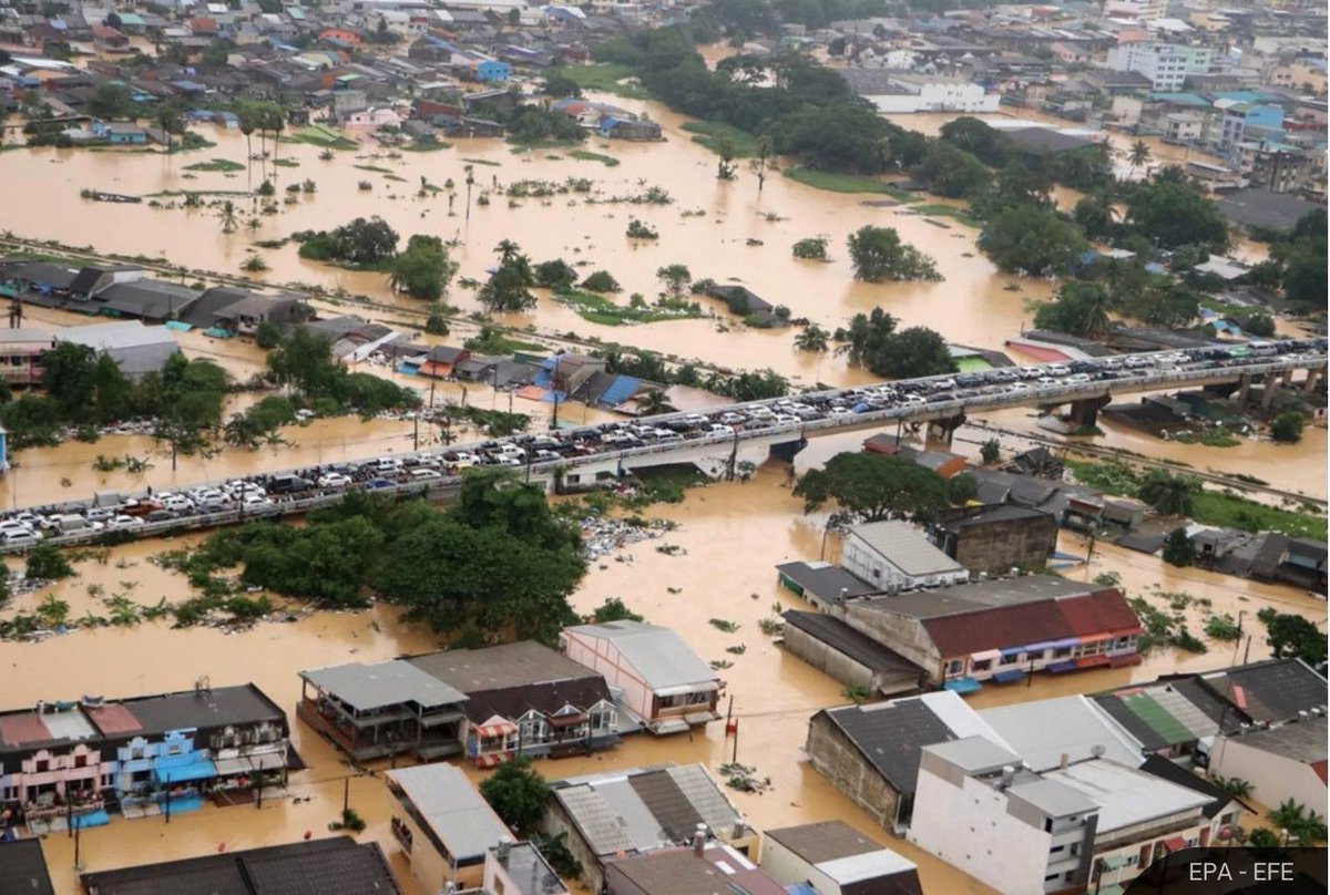 Southern Thailand’s main centre receiving bodies of flood victims has reached full capacity, prompting officials to bring in three refrigerated trucks.

A staffer at Songkhla Hospital said the morgue could no longer cope as the death toll climbed to 55.

🧵1