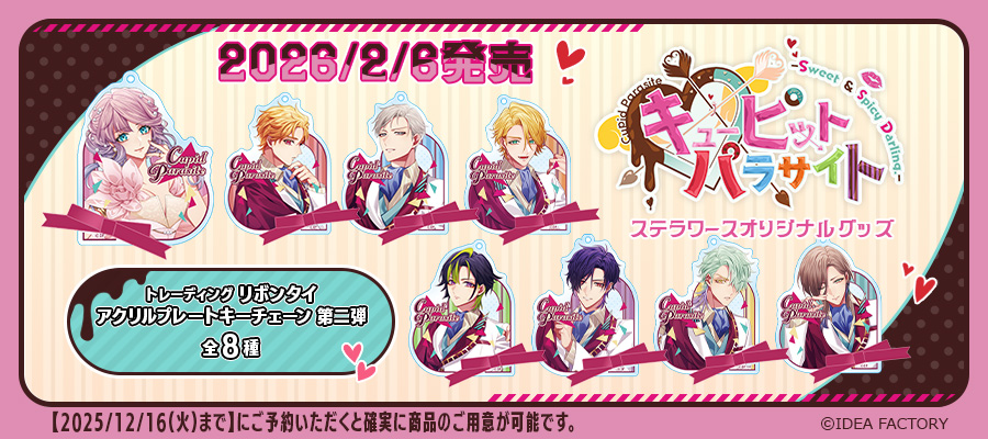 Lkyt. リボンタイアクリルプレートキーチェーン　ステラワース　按護 12点 Lkyt. リボンタイアクリルプレートキーチェーン ステラワース 按護 12