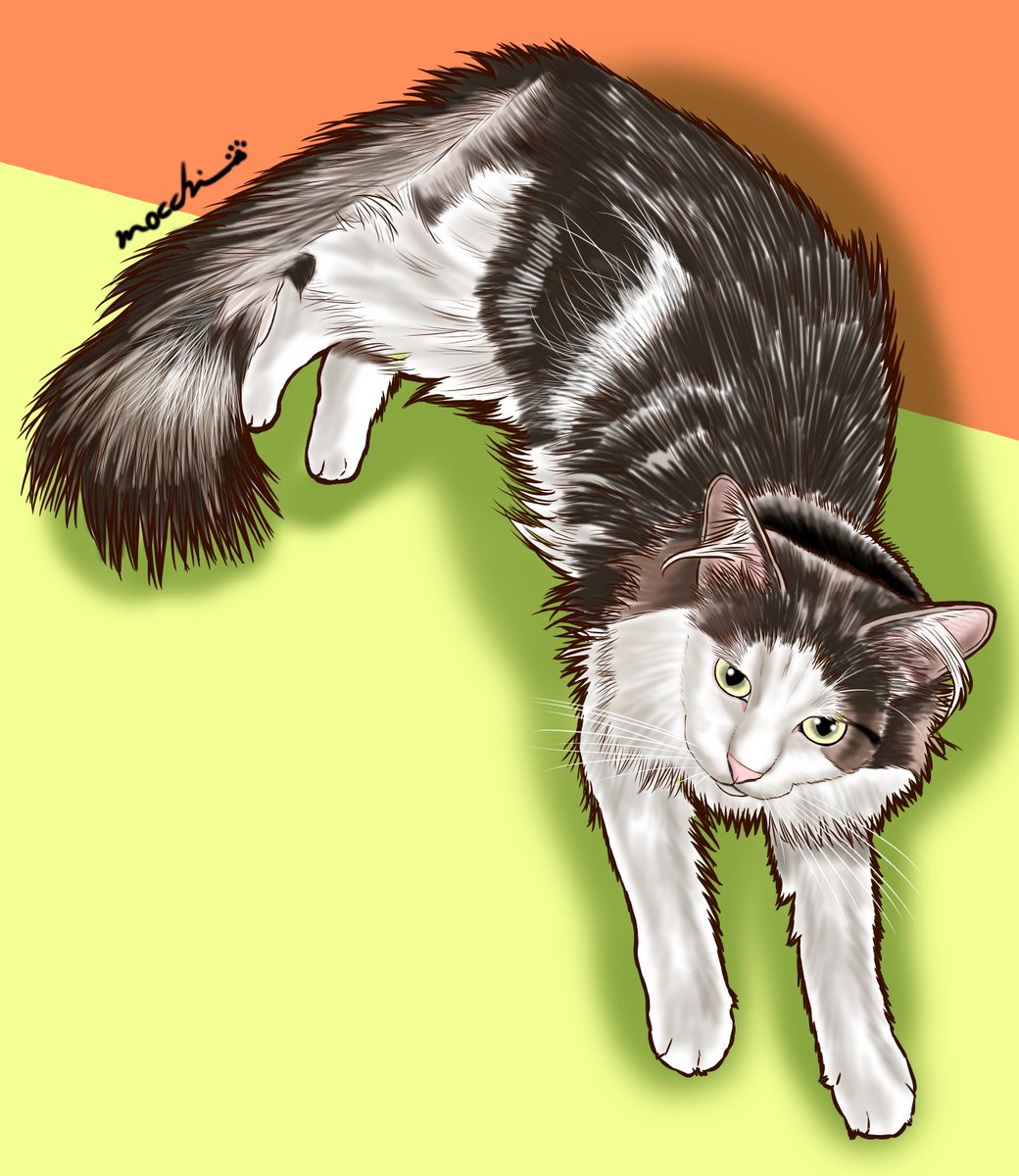 もっち（mocchi） (@mocchimocchi09) / Posts / X