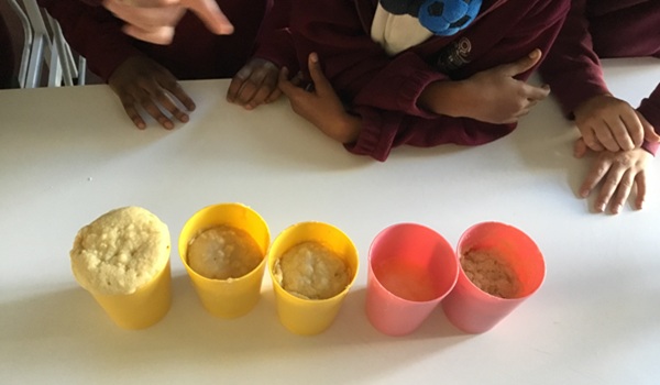 Rotherhithe Primary School tweet media