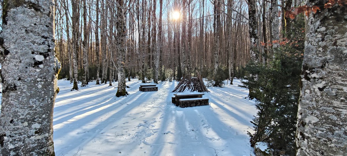 #argia
#sasitxiotx
#asteanbehin