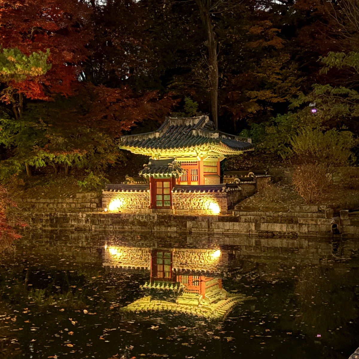 changdeokpalace's tweet photo. 11월 저녁, 동궐동락 기간에 볼 수 있었던 
조명에 비친 정자와 물에 비친 정자

부용정
사정기비각
주합루와 규장각
애련정 https://t.co/Zz5FAxGMgE