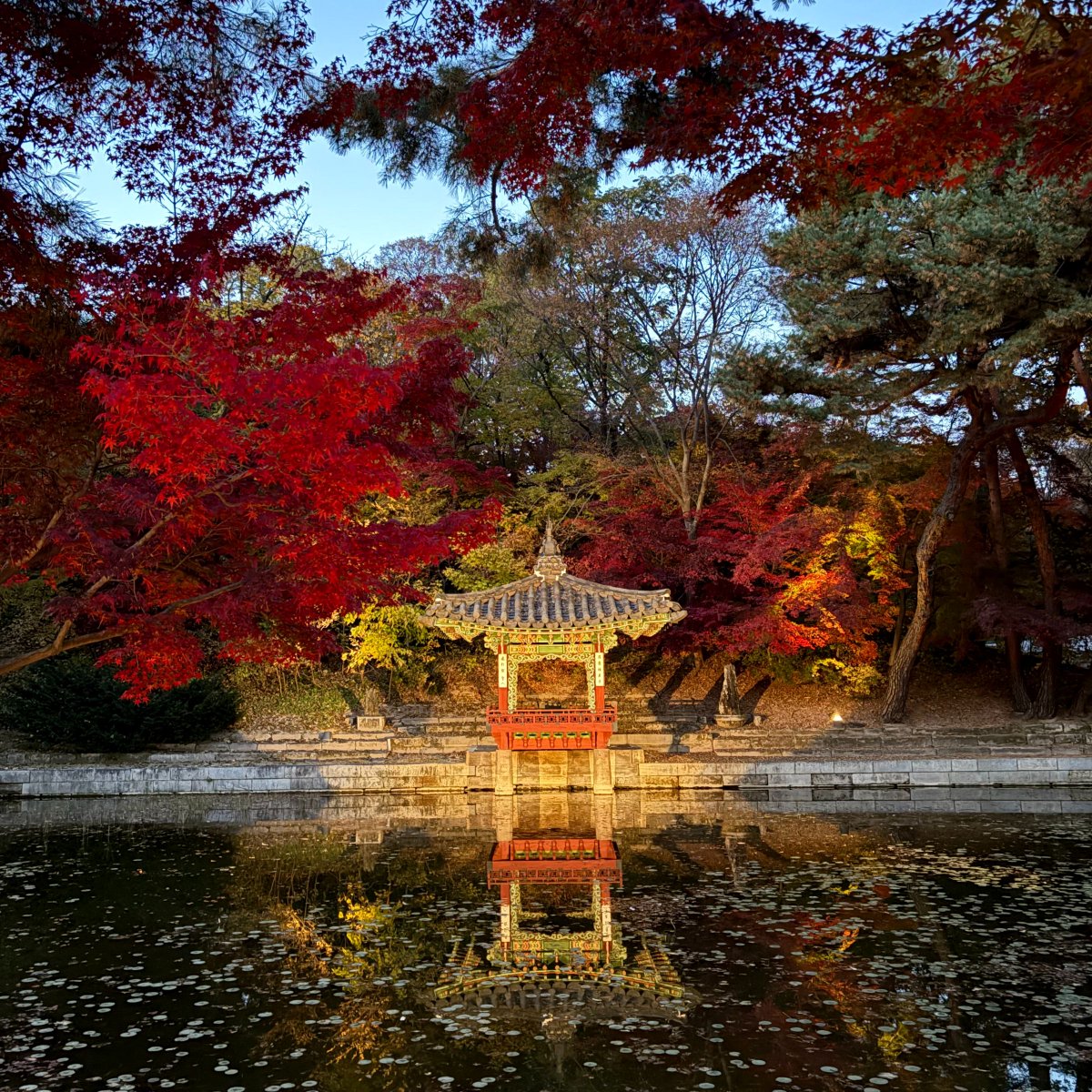 changdeokpalace's tweet photo. 11월 저녁, 동궐동락 기간에 볼 수 있었던 
조명에 비친 정자와 물에 비친 정자

부용정
사정기비각
주합루와 규장각
애련정 https://t.co/Zz5FAxGMgE